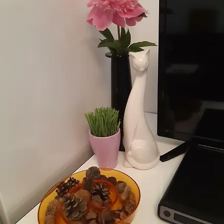 Apartment Relax